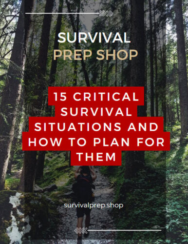 cover_15 Critical Survival Situations and How to Plan for Them_1080