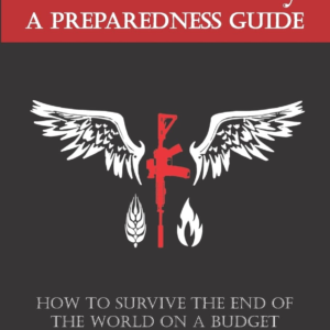 Survival Theory: A Preparedness Guide